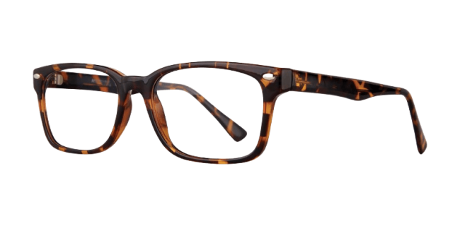 Affordable Alpha Eyeglasses