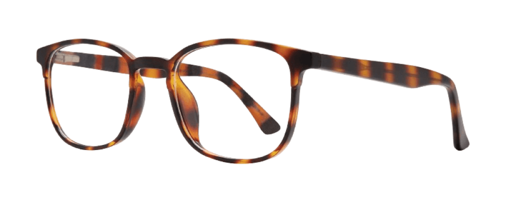 Affordable Chandler Eyeglasses