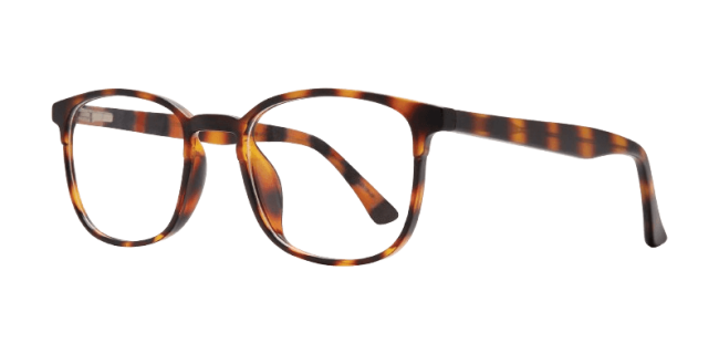 Affordable Chandler Eyeglasses