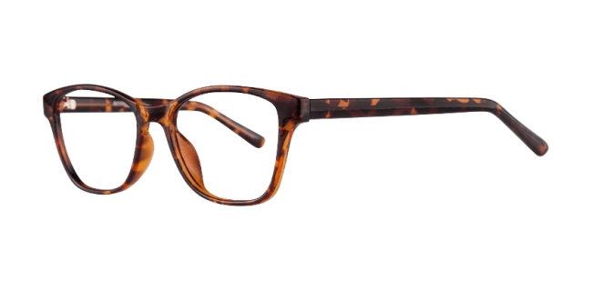 Affordable Diva Eyeglasses