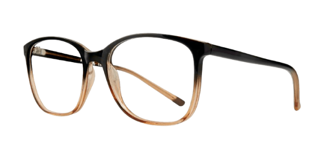 Affordable Fay Eyeglasses