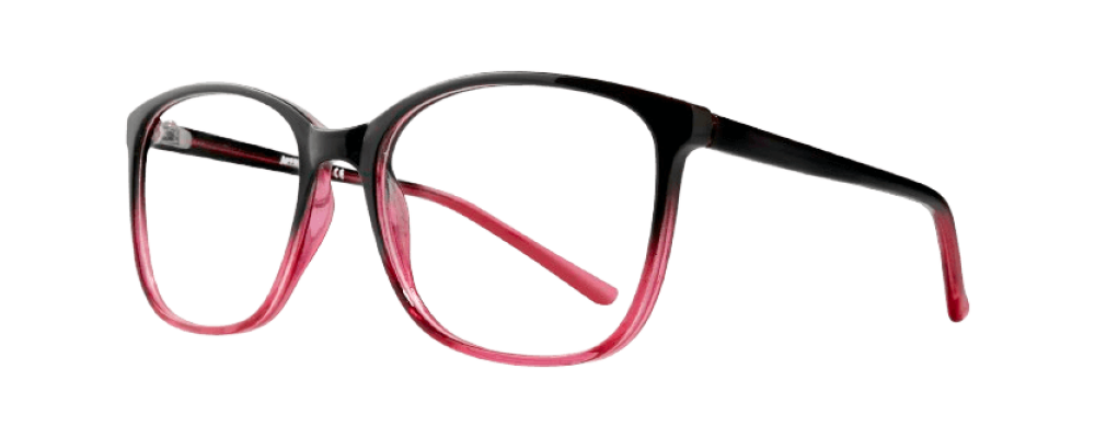 Affordable Fay Eyeglasses