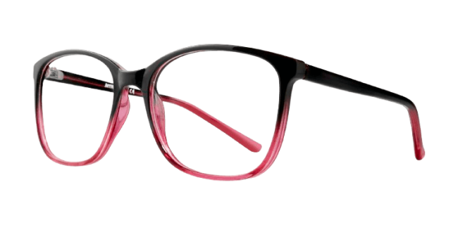 Affordable Fay Eyeglasses