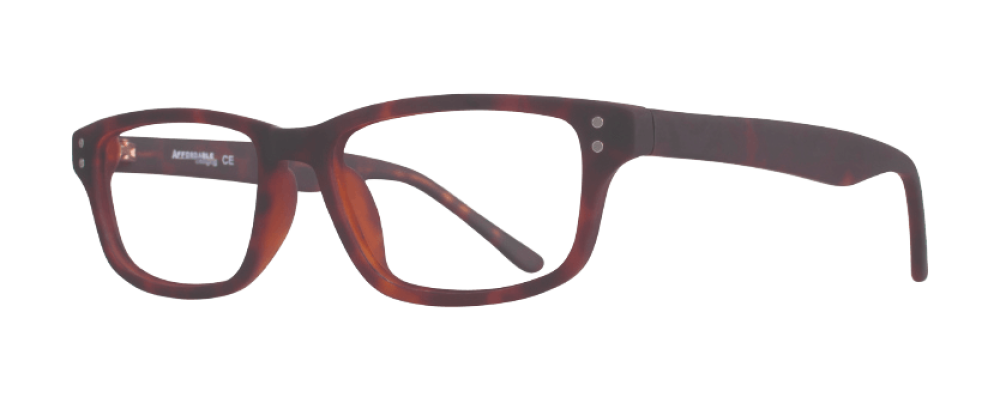 Affordable Guppy Eyeglasses