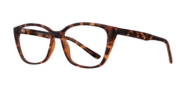 Affordable Jasmine Eyeglasses