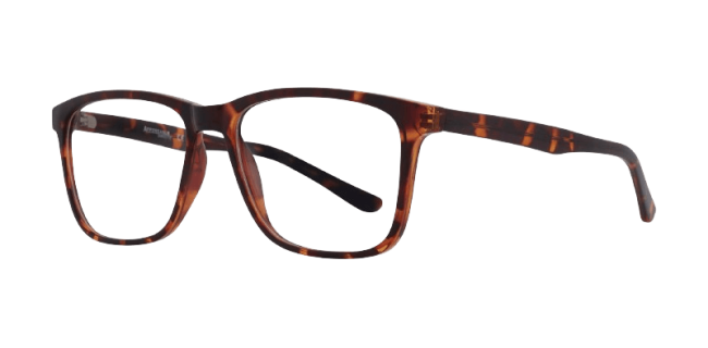 Affordable Monty Eyeglasses