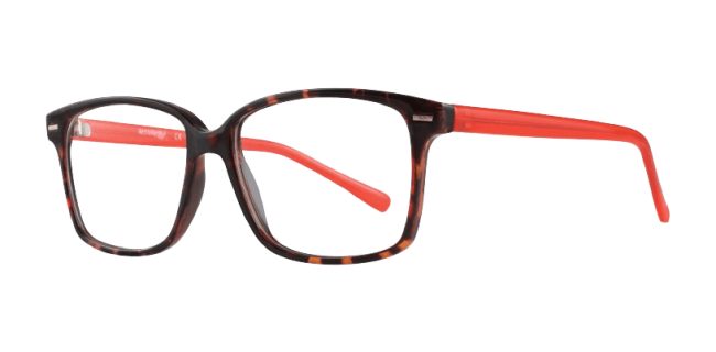 Affordable Nora Eyeglasses