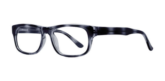 Affordable Professor Eyeglasses