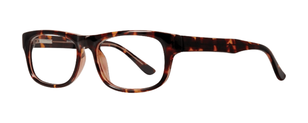 Affordable Professor Eyeglasses