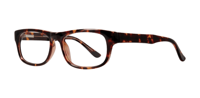 Affordable Professor Eyeglasses