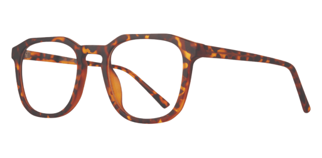 Affordable Reign Eyeglasses