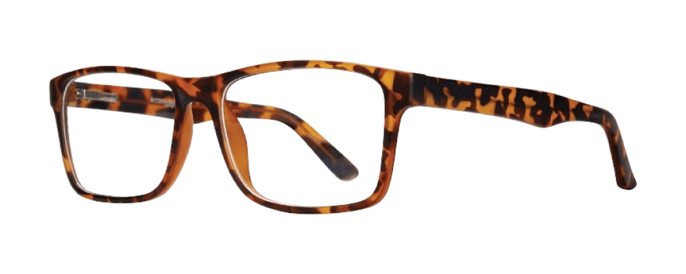 Affordable Rodney Eyeglasses