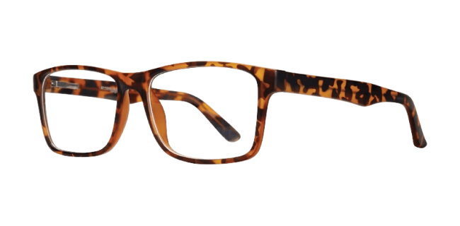 Affordable Rodney Eyeglasses