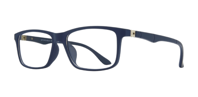 Affordable Silvio Eyeglasses