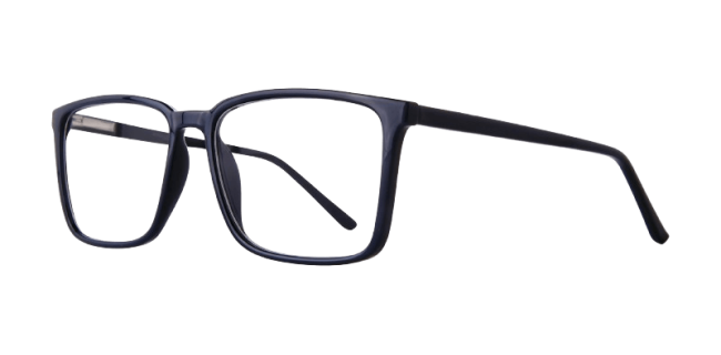 Affordable Wade Eyeglasses