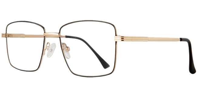 Lite Designs Austin Eyeglasses