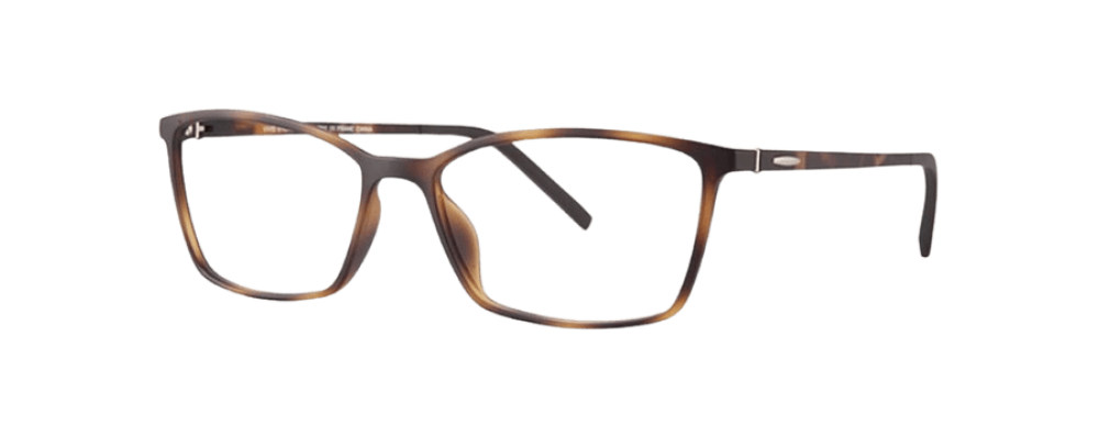 Vivid 2011 Eyeglasses 