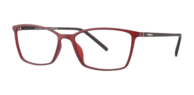 Vivid 2011 Eyeglasses 