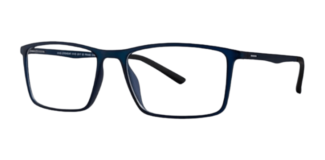 Vivid 2017 Eyeglasses 