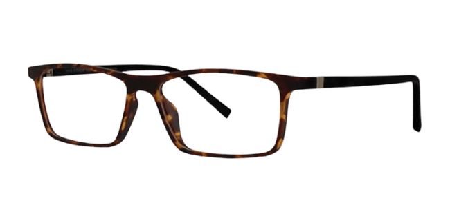 Vivid 253 Eyeglasses 