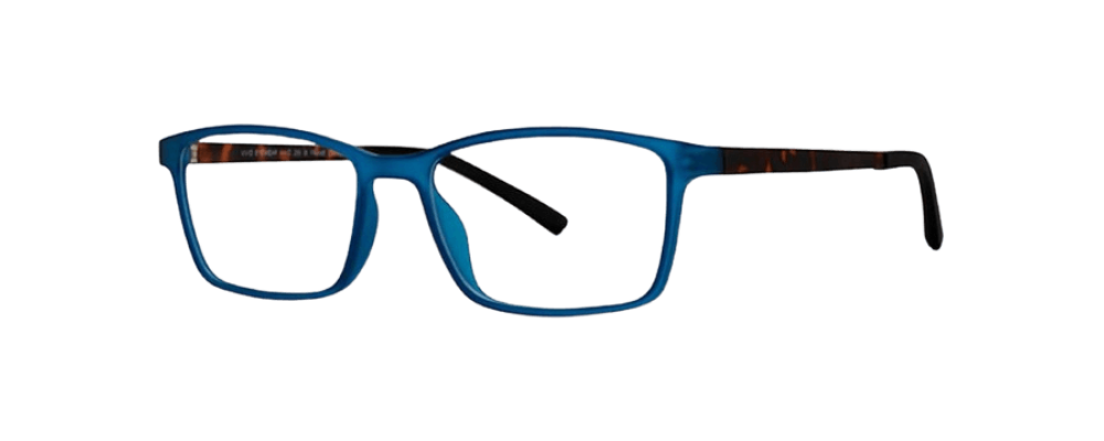 Vivid 255 Eyeglasses 