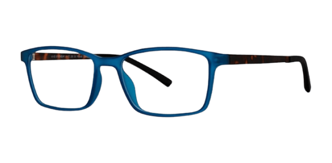 Vivid 255 Eyeglasses 